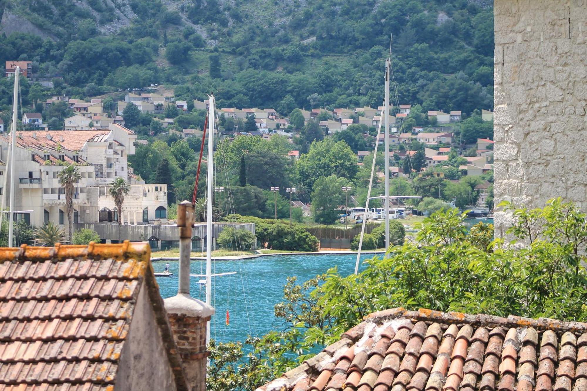 Popovic Kotor