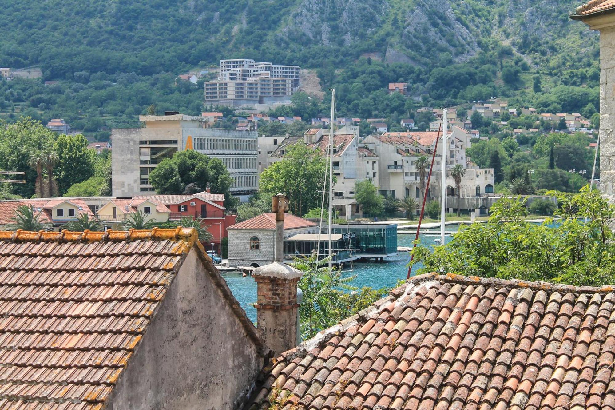 Popovic Kotor